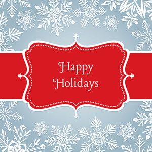 12.5.12 happy holidays